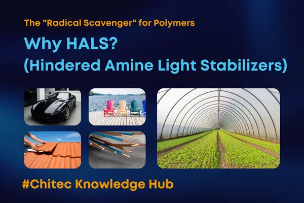 受阻胺光稳定剂 HALS 是什么?材料中的「自由基猎人」如何延长塑料寿命