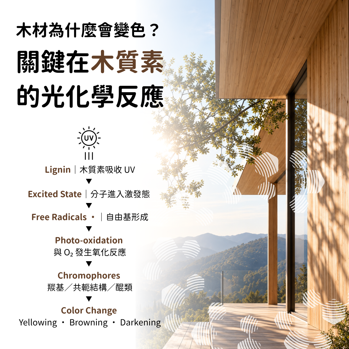 Chiguard Wood 2